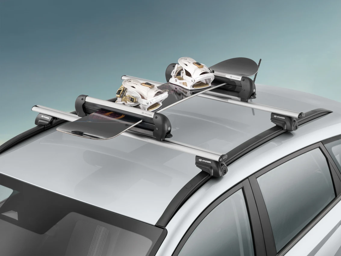 BAYON Ski &amp; Snowboardträger